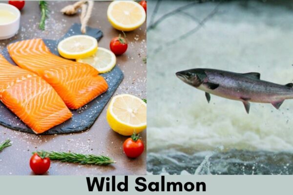 wild salmon