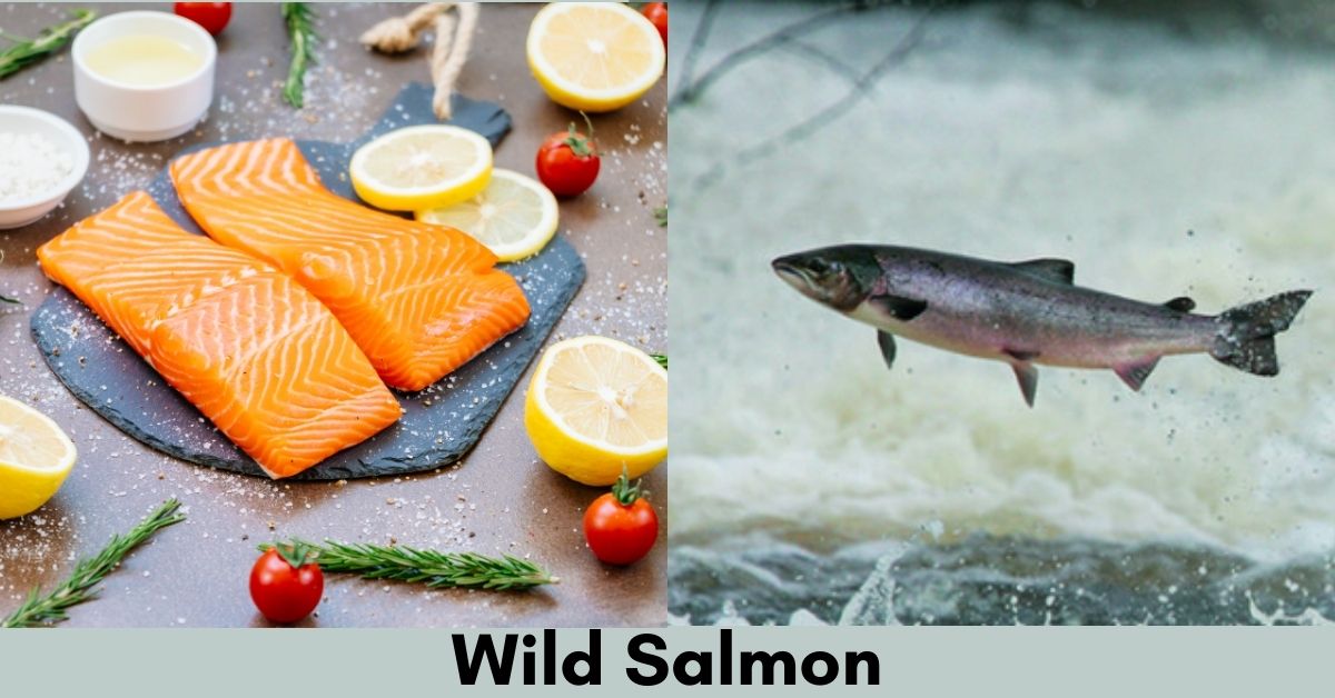 wild salmon